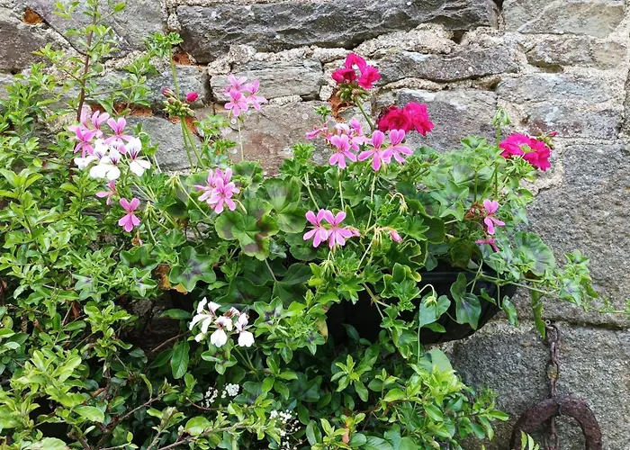 Le Moulin Des Hiboux - Avec Salle De Jeux Games * Fontenay (Manche)